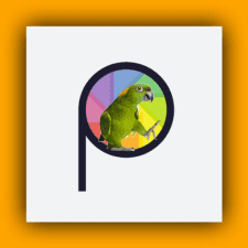 Parrot Ad Group Icon with colorful letter "P" and and angry looking parrot in the center of the "P".